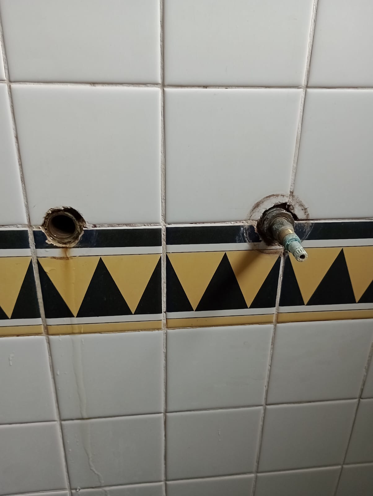 Encanador e dedetização e limpa fosse (1)