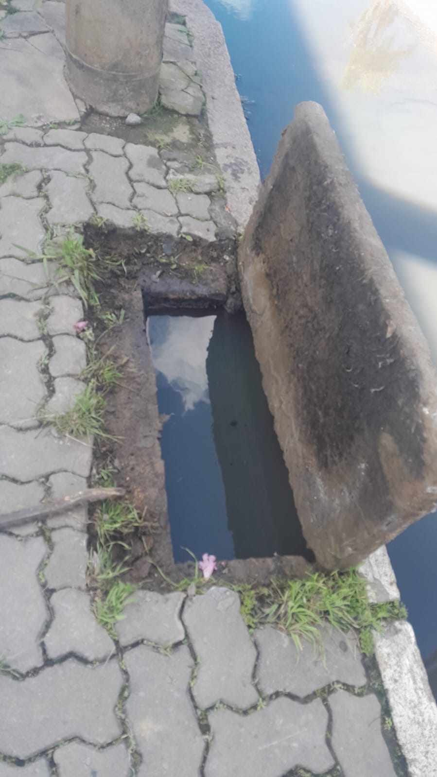 Encanador e dedetização e limpa fosse (12)