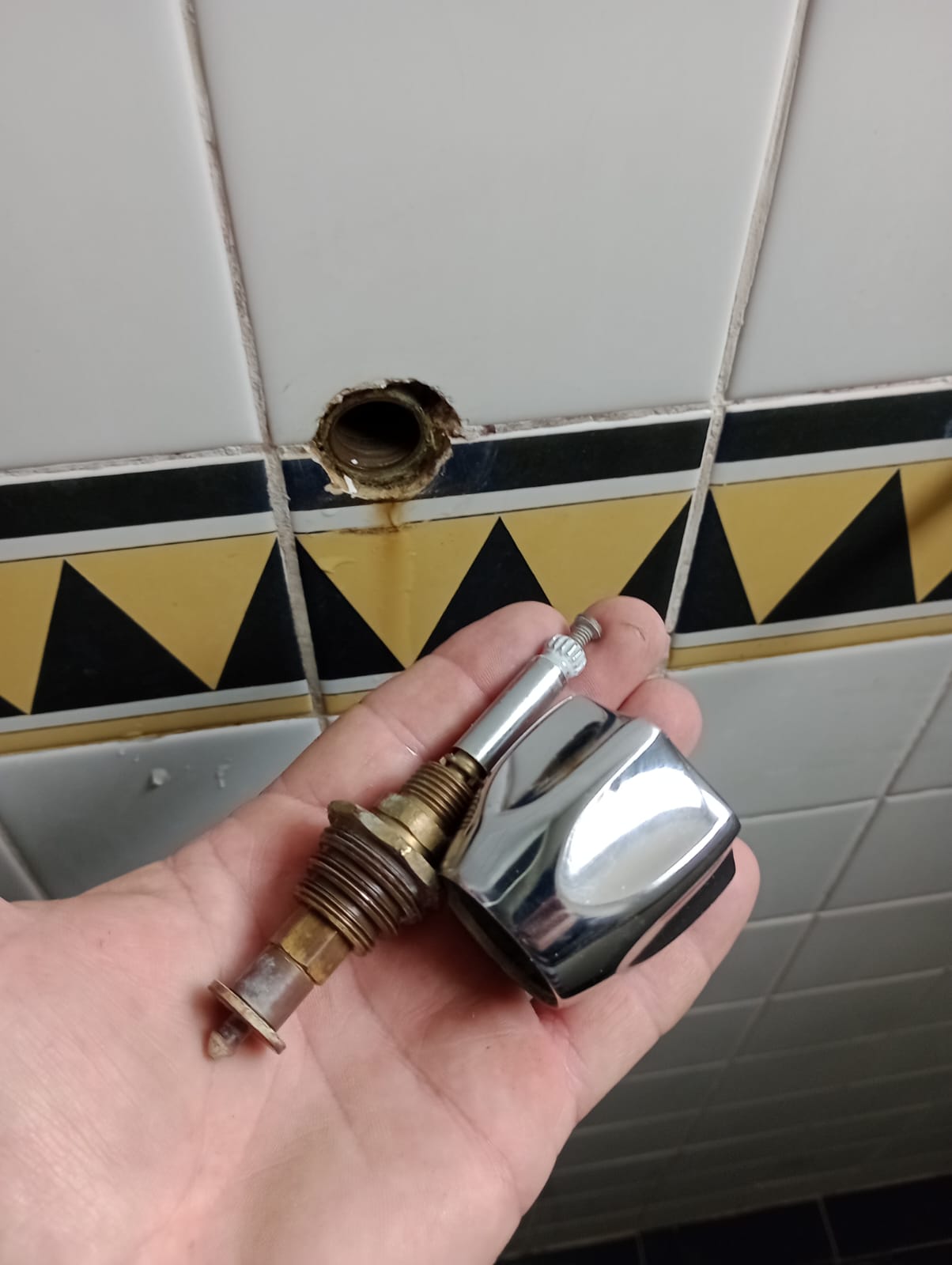 Encanador e dedetização e limpa fosse (3)