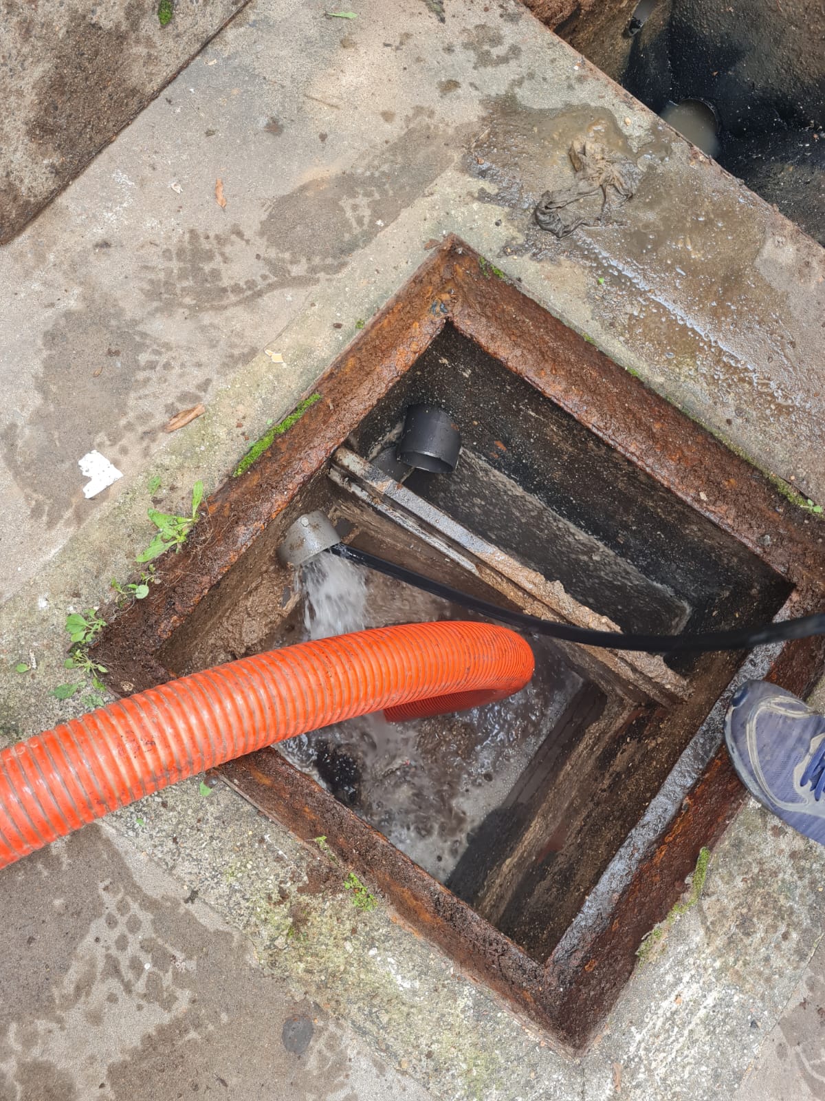 Encanador e dedetização e limpa fosse (40)