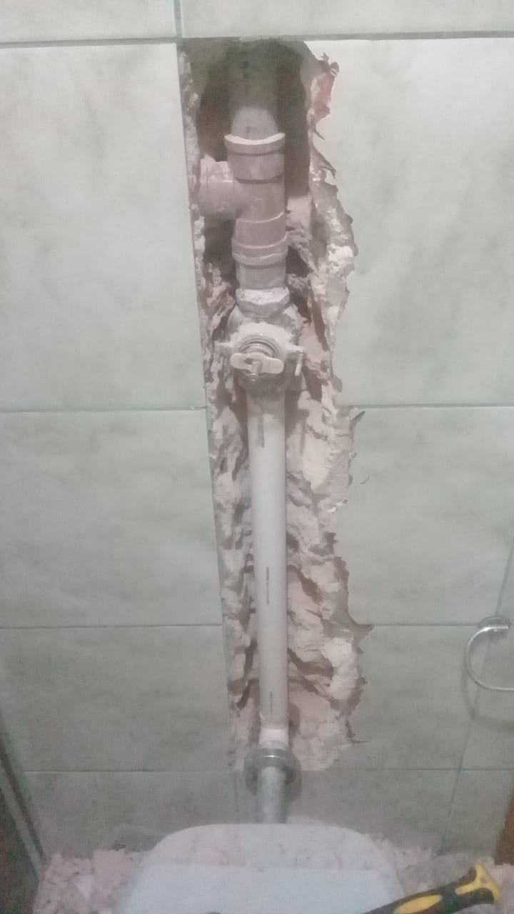 Encanador e dedetização e limpa fosse (43)